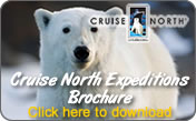 CruiseNorth_Expeditions Brochure
