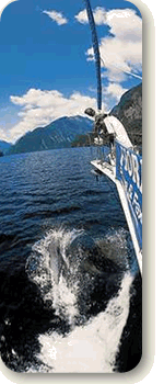 Cruise New Zealand